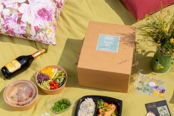 Scatola Food Delivery c/cordini