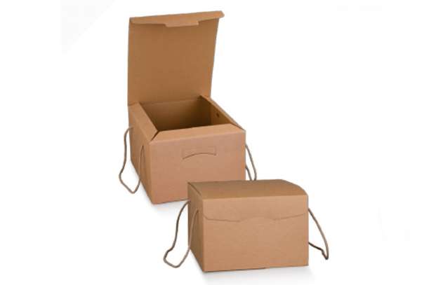 Scatola Food Delivery c/cordini